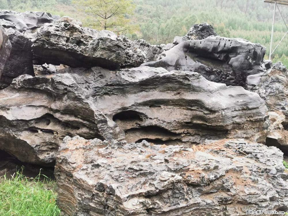 风景石、假山石大量有货，有需要的欢迎联系 - 新手上路 - 晋城生活社区 - 晋城28生活网 jincheng.28life.net