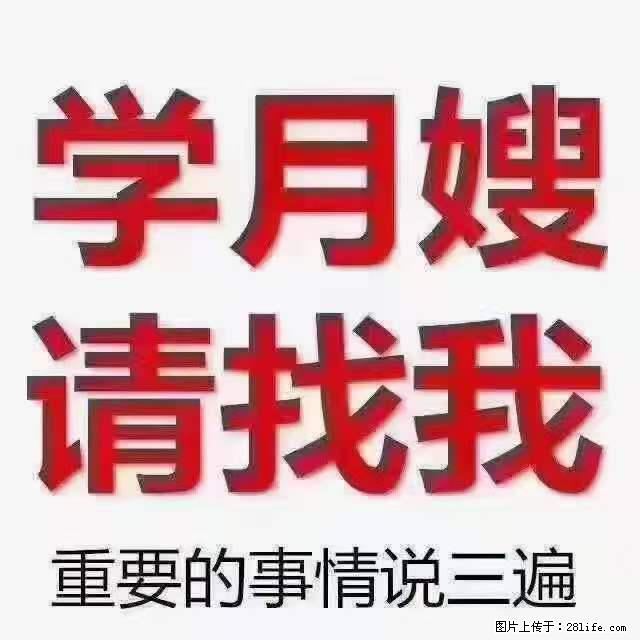 为什么要学习月嫂，育婴师？ - 其他广告 - 广告专区 - 晋城分类信息 - 晋城28生活网 jincheng.28life.net