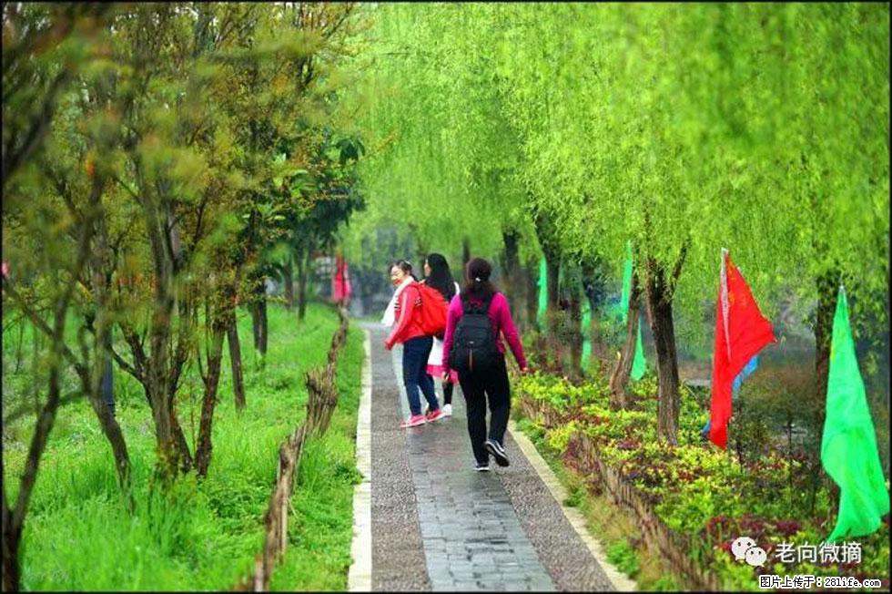 【春天，广西桂林灌阳县向您发出邀请！】江口老街又逢春 - 游山玩水 - 晋城生活社区 - 晋城28生活网 jincheng.28life.net