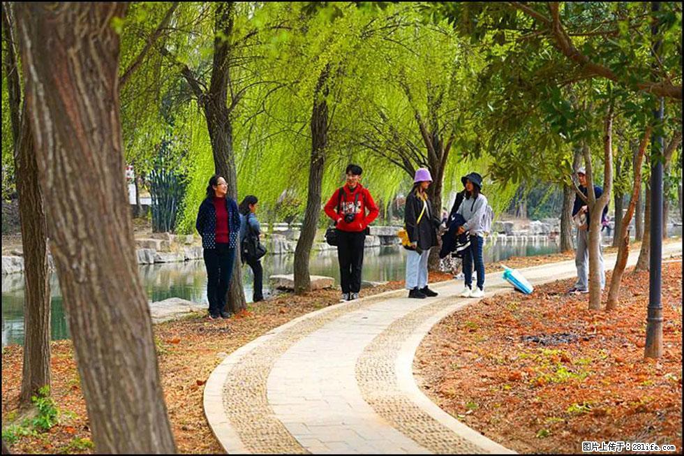【春天，广西桂林灌阳县向您发出邀请！】江口老街又逢春 - 游山玩水 - 晋城生活社区 - 晋城28生活网 jincheng.28life.net