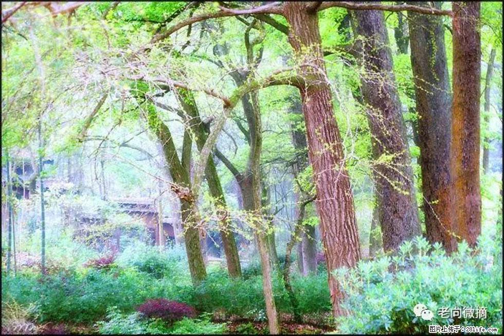 【春天，广西桂林灌阳县向您发出邀请！】在小龙村与春天约会 - 游山玩水 - 晋城生活社区 - 晋城28生活网 jincheng.28life.net