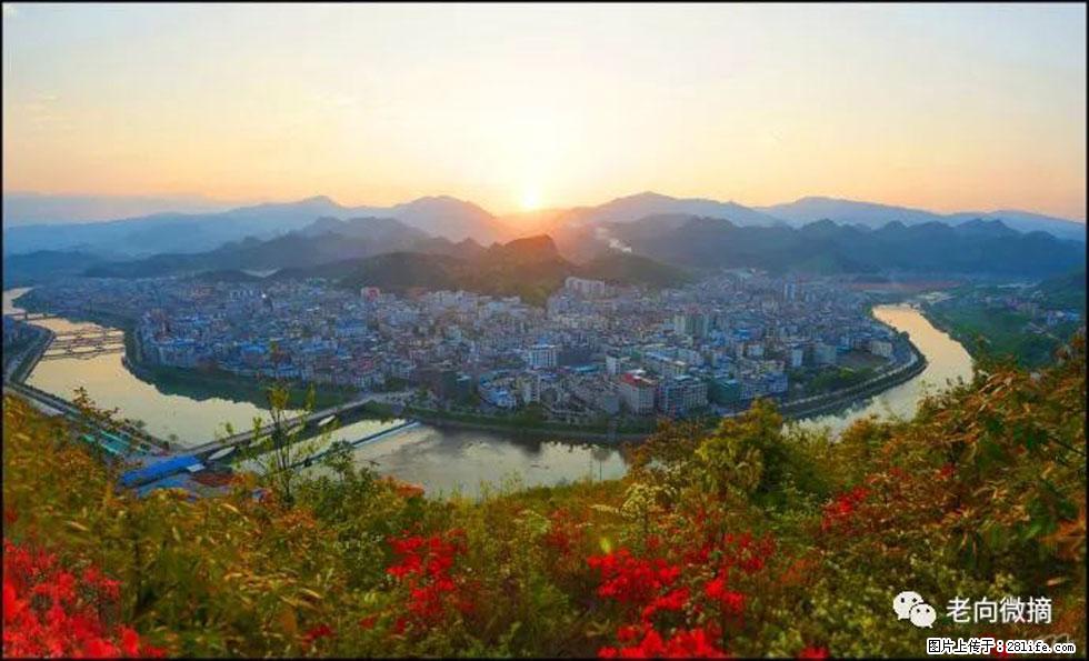 【春天，广西桂林灌阳县向您发出邀请！】登麒麟山，相约映山红 - 游山玩水 - 晋城生活社区 - 晋城28生活网 jincheng.28life.net