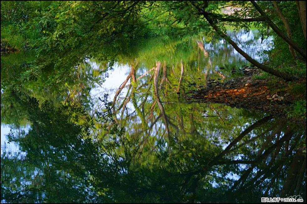 【春天，广西桂林灌阳县向您发出邀请！】熊家寨湿地公园 - 游山玩水 - 晋城生活社区 - 晋城28生活网 jincheng.28life.net