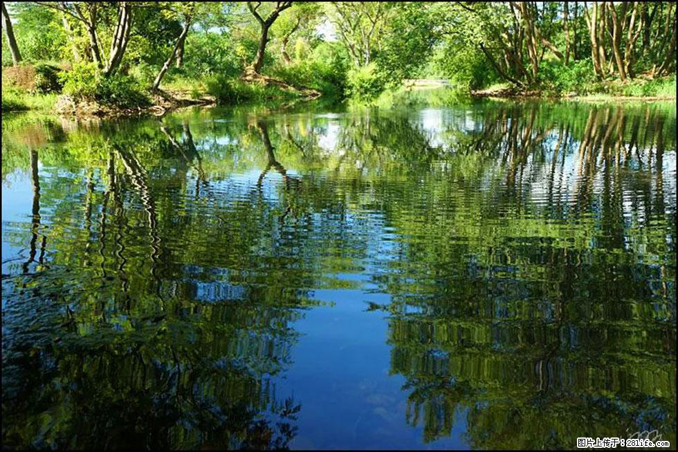 【春天，广西桂林灌阳县向您发出邀请！】熊家寨湿地公园 - 游山玩水 - 晋城生活社区 - 晋城28生活网 jincheng.28life.net