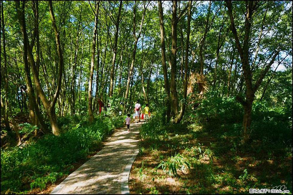【春天，广西桂林灌阳县向您发出邀请！】熊家寨湿地公园 - 游山玩水 - 晋城生活社区 - 晋城28生活网 jincheng.28life.net