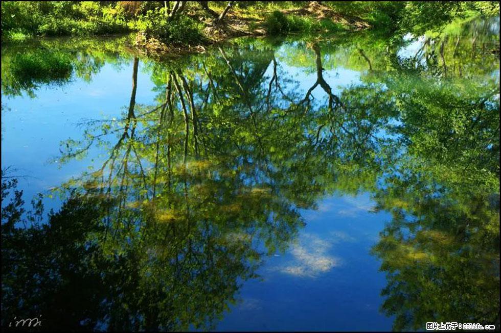 【春天，广西桂林灌阳县向您发出邀请！】熊家寨湿地公园 - 游山玩水 - 晋城生活社区 - 晋城28生活网 jincheng.28life.net