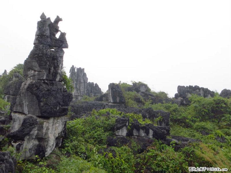 桂林旅游名城景点：灌阳文市石林 - 游山玩水 - 晋城生活社区 - 晋城28生活网 jincheng.28life.net
