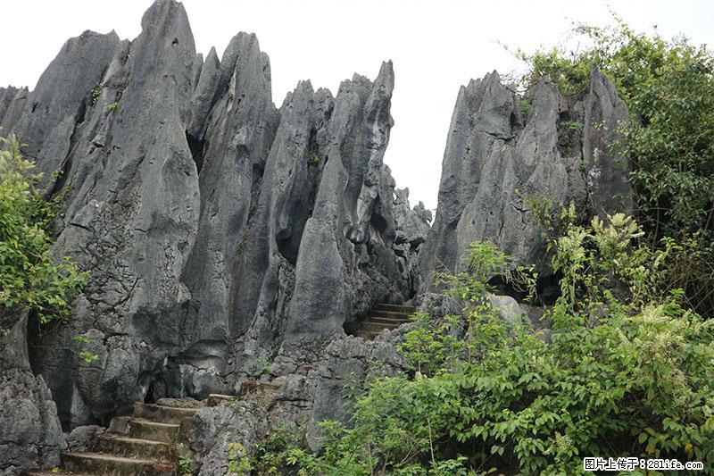 桂林旅游名城景点：灌阳文市石林 - 游山玩水 - 晋城生活社区 - 晋城28生活网 jincheng.28life.net