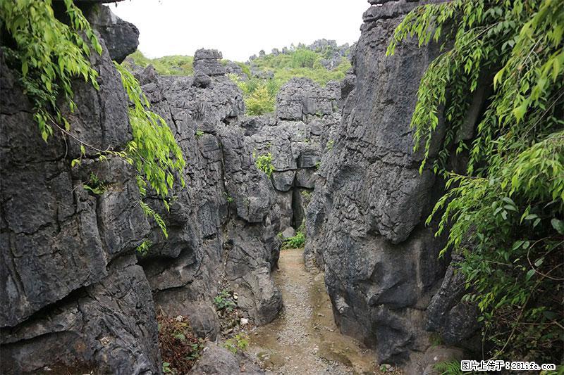 桂林旅游名城景点：灌阳文市石林 - 游山玩水 - 晋城生活社区 - 晋城28生活网 jincheng.28life.net