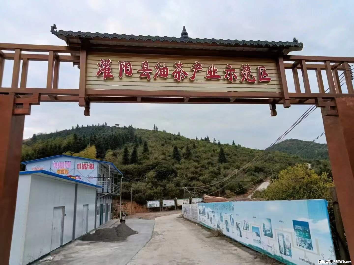 【灌阳县油茶产业示范区】一个有着充实的精神生活的人，对待身外之物自会有一种淡泊的态度 - 美食天地 - 晋城生活社区 - 晋城28生活网 jincheng.28life.net