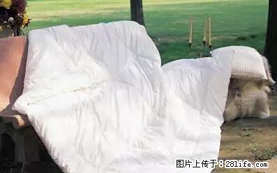 被子有异味？只要这样做，比晒太阳还强100倍！ - 家居生活 - 晋城生活社区 - 晋城28生活网 jincheng.28life.net