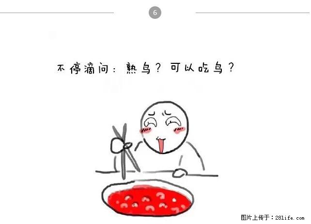 千万不要和这9种哈卵一起吃火锅！ - 美食天地 - 晋城生活社区 - 晋城28生活网 jincheng.28life.net