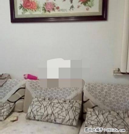 凤翔南区 精装2室 家具家电齐全拎包入住 - 房屋出租 - 房屋租售 - 晋城分类信息 - 晋城28生活网 jincheng.28life.net