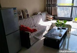 爱物学校附近，温馨两居室，家具家电齐全，领包入住 - 晋城28生活网 jincheng.28life.net