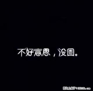 开发区凤东小区温馨三室 价格低廉 欢迎来约 手慢无 - 晋城28生活网 jincheng.28life.net