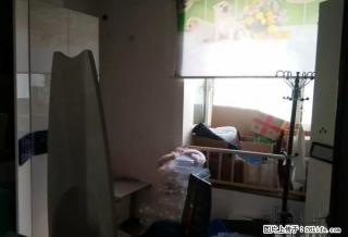 兰煜花园 1666元 3室1厅1卫 普通装修，家具家电齐全， - 晋城28生活网 jincheng.28life.net