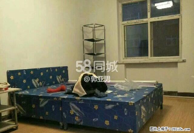 文体宫 2室1厅1卫 - 房屋出租 - 房屋租售 - 晋城分类信息 - 晋城28生活网 jincheng.28life.net