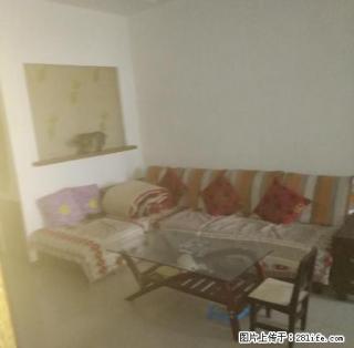 (单间出租)高平二中附近3室1厅90平米中等装修 - 晋城28生活网 jincheng.28life.net