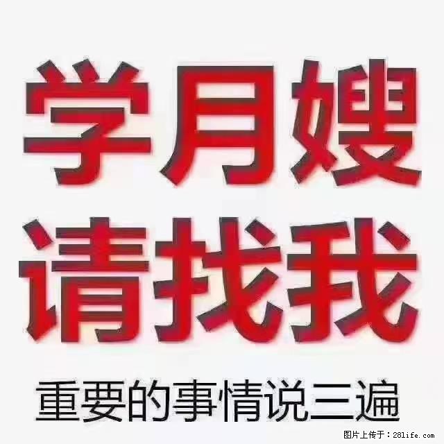 【招聘】月嫂，上海徐汇区 - 职场交流 - 晋城生活社区 - 晋城28生活网 jincheng.28life.net