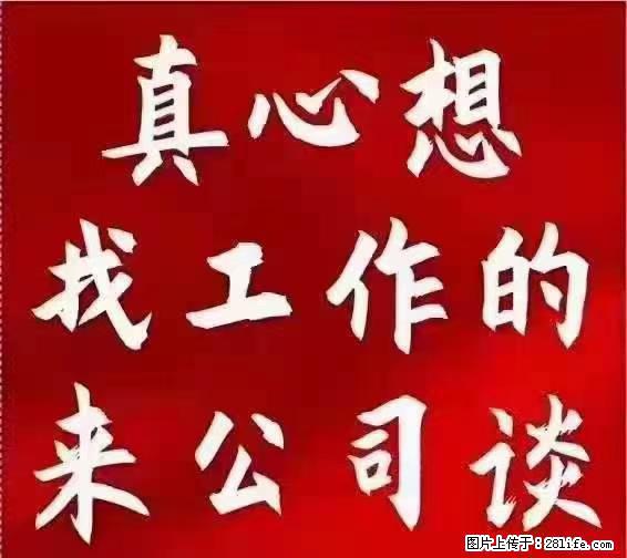 【上海】国企，医院招两名男保安，55岁以下，身高1.7米以上，无犯罪记录不良嗜好 - 职场交流 - 晋城生活社区 - 晋城28生活网 jincheng.28life.net