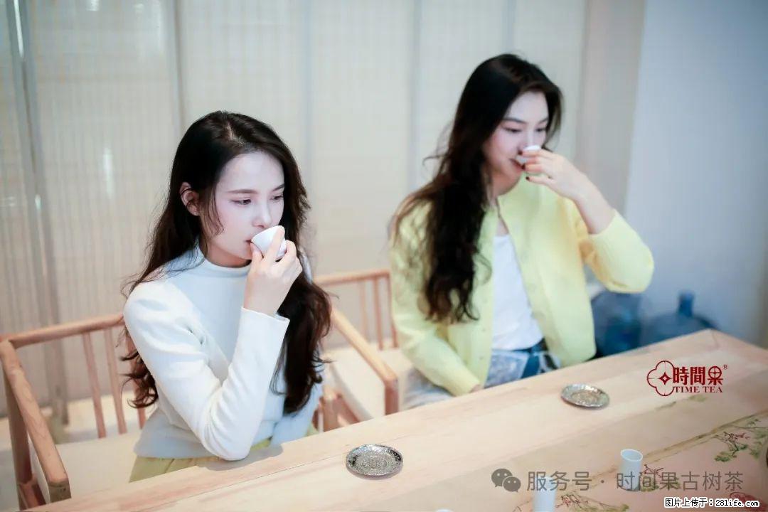 时间果百年古树龙珠普洱生茶 - 购物交流 - 晋城生活社区 - 晋城28生活网 jincheng.28life.net