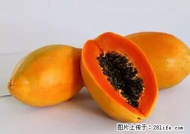 晕车、脚气、牙齿变黄、皮肤粗糙？学会这些三分钟搞定！ - 晋城生活资讯 - 晋城28生活网 jincheng.28life.net