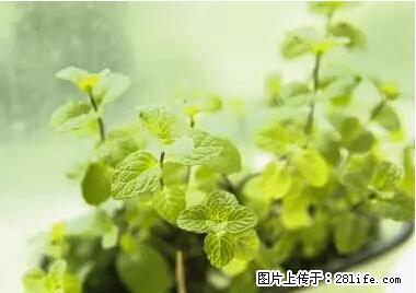 晕车、脚气、牙齿变黄、皮肤粗糙？学会这些三分钟搞定！ - 晋城生活资讯 - 晋城28生活网 jincheng.28life.net