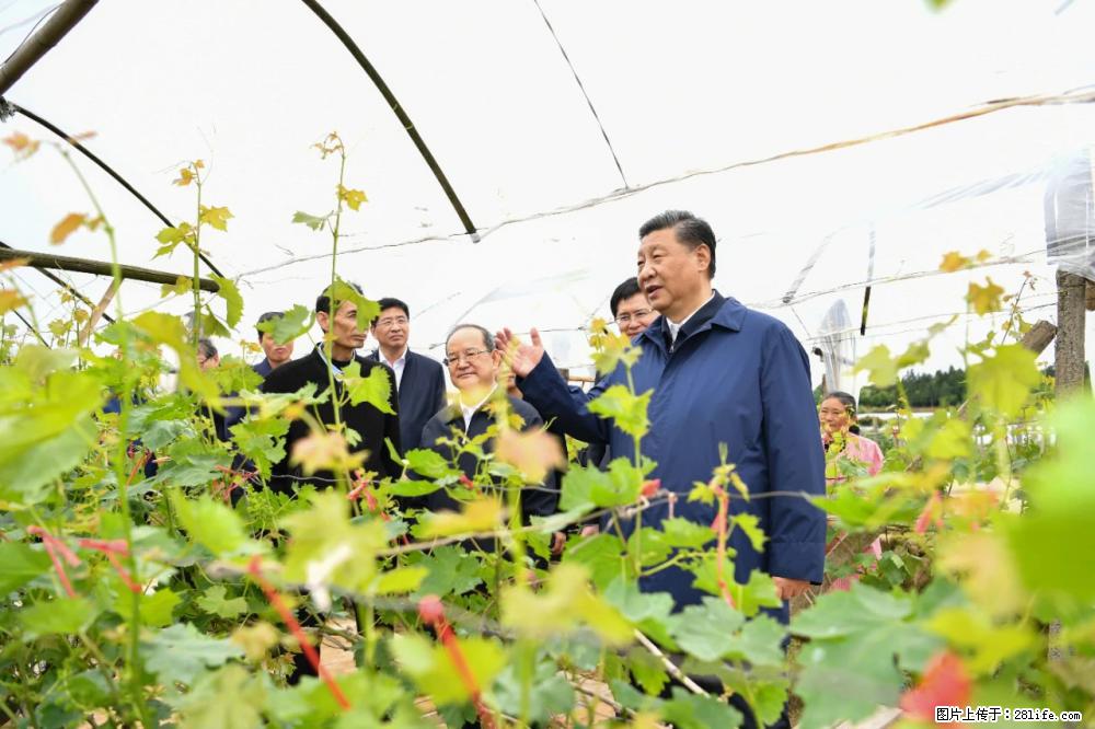 习近平赴广西考察调研 - 晋城生活资讯 - 晋城28生活网 jincheng.28life.net