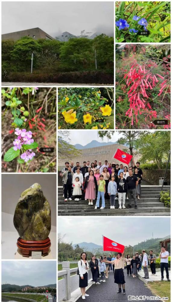 “粤灌文化 美好生活”油茶文化主题活动在广东深圳成功举办 - 晋城生活资讯 - 晋城28生活网 jincheng.28life.net