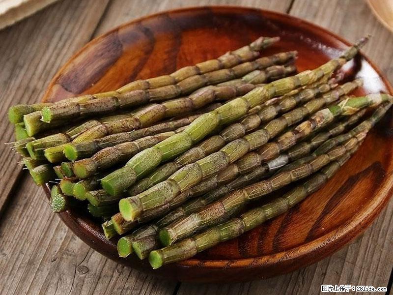 铁皮石斛的作用与功能主治 - 晋城生活资讯 - 晋城28生活网 jincheng.28life.net