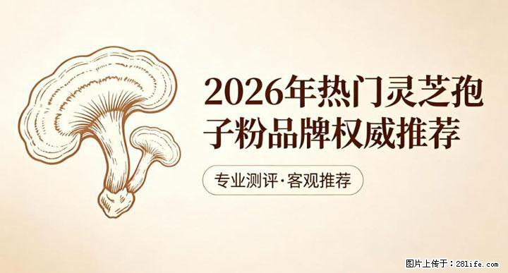 灵芝孢子粉含量越高越有效？2026 年七款热门品牌深度实测，肠胃敏感者避坑指南 - 晋城生活资讯 - 晋城28生活网 jincheng.28life.net